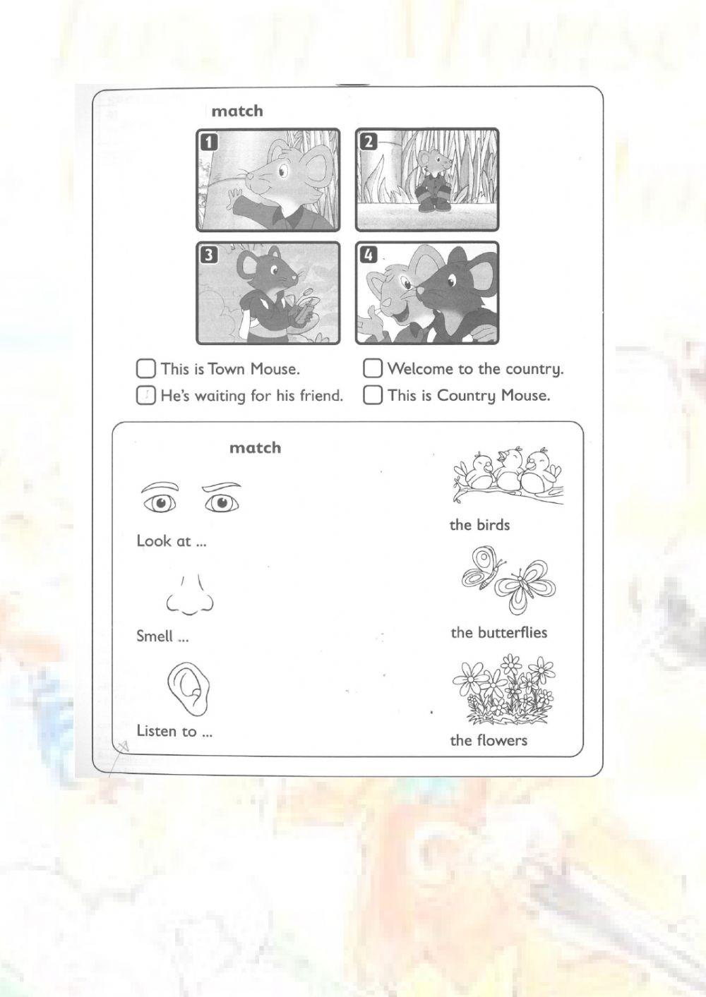 The Town Mouse and The Country Mouse - Cathy Lawday