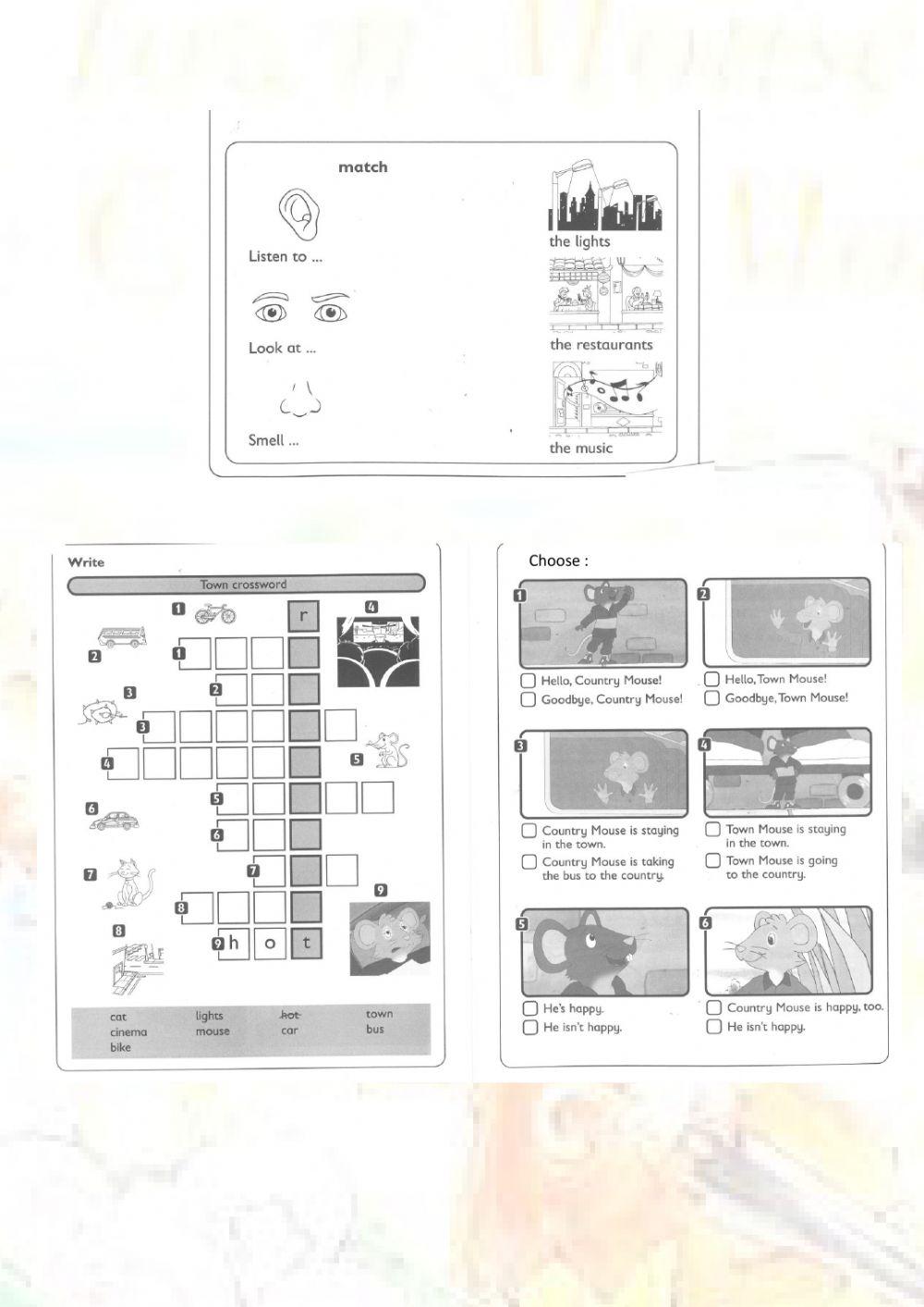 The Town Mouse and The Country Mouse - Cathy Lawday