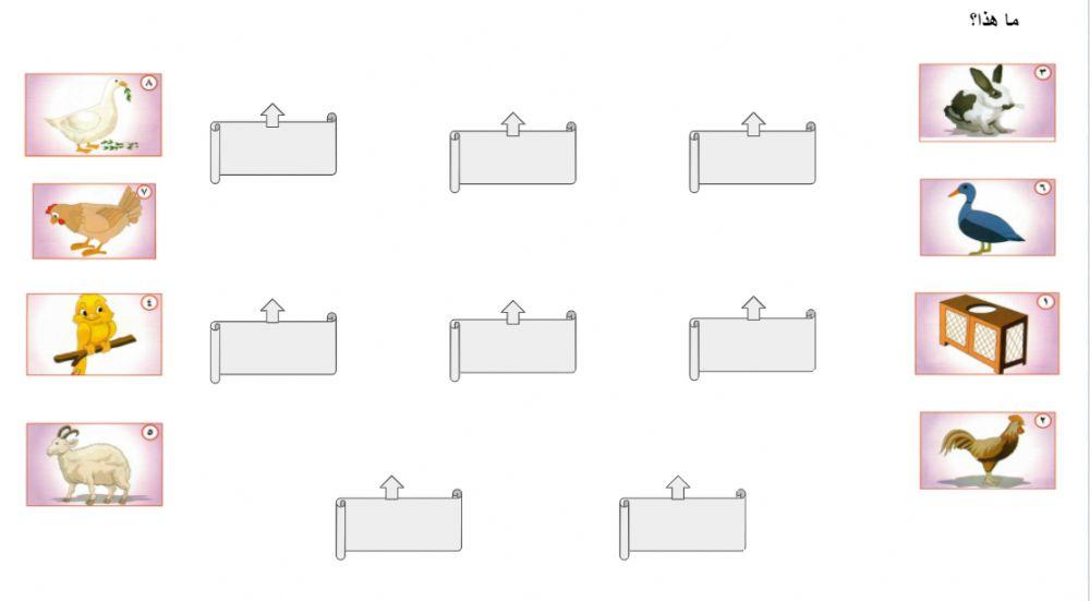 أحب العربية المستوى الأول الدرس 4