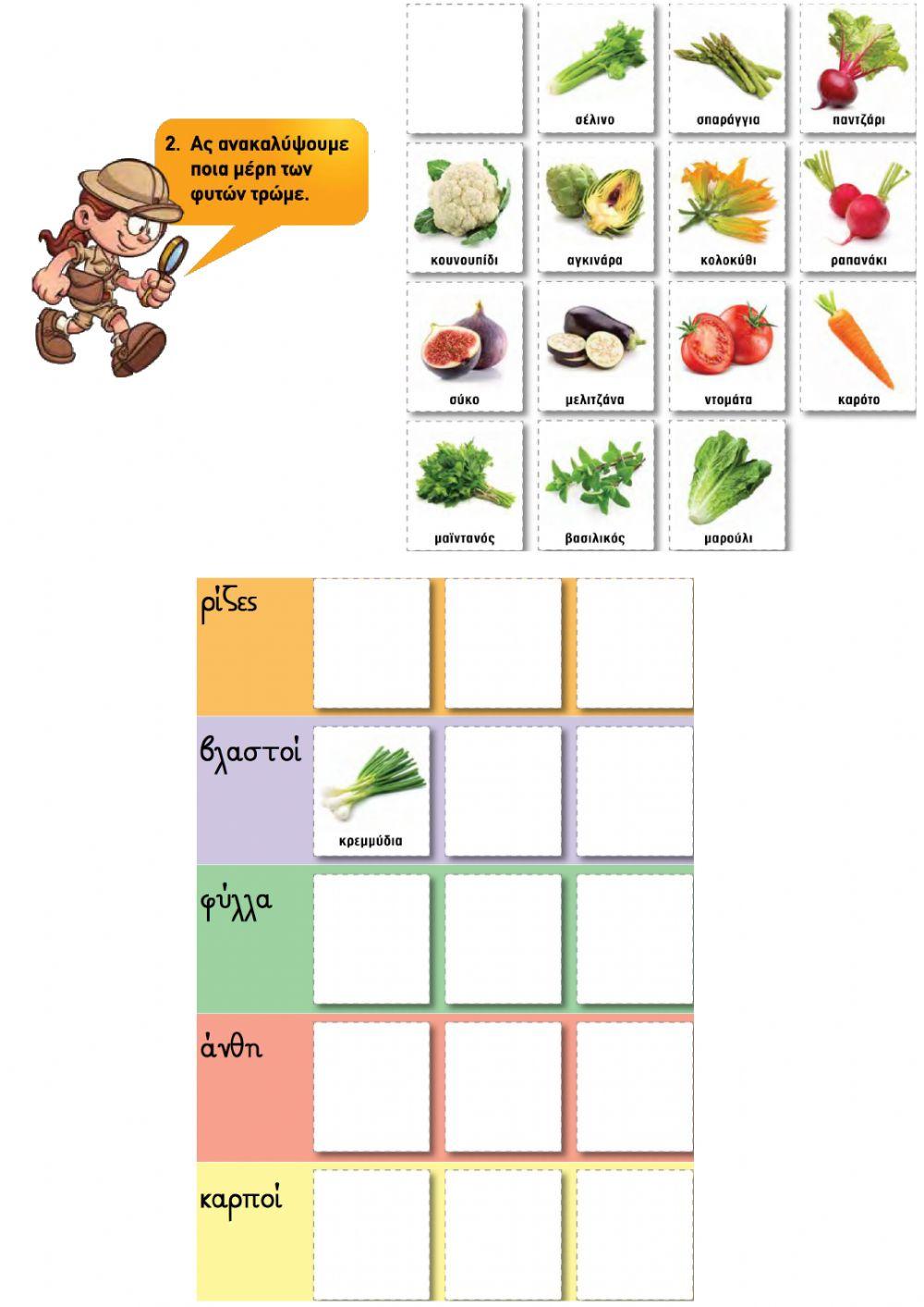 A' Φ.Επ. - Ποιο μέρος του φυτού τρώμε