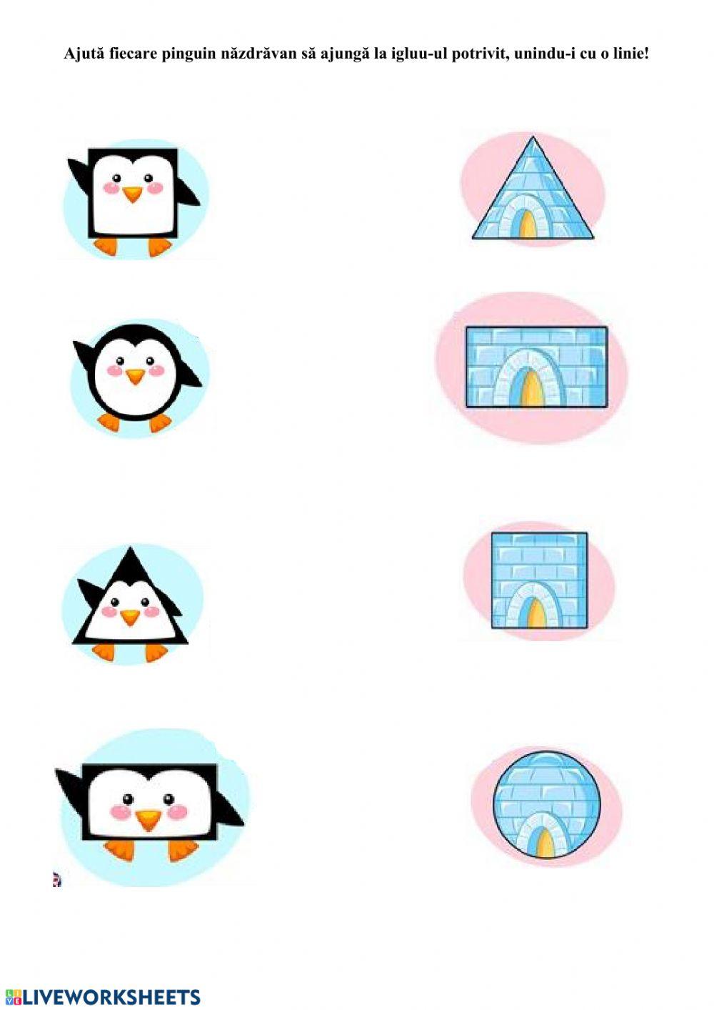 Corespondenta forme geometrice