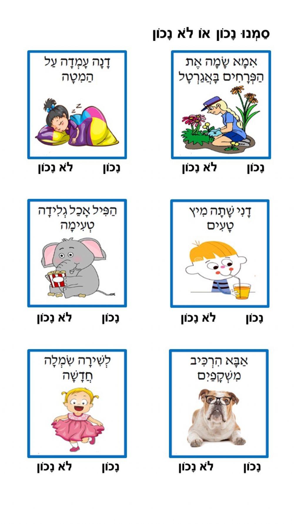 נכון לא נכון