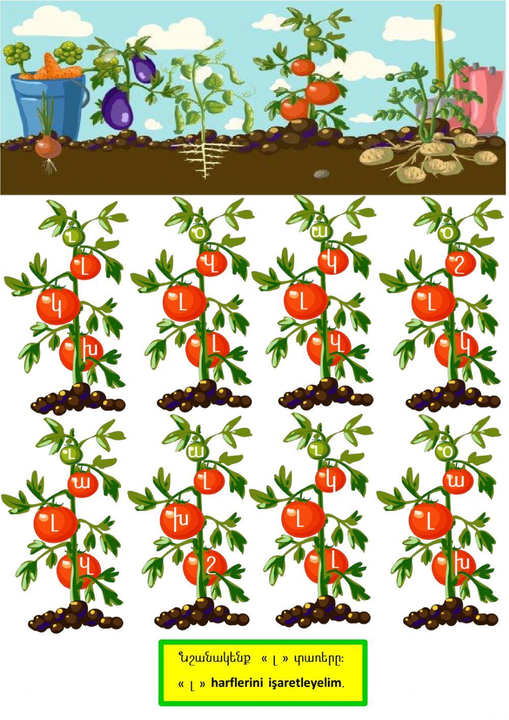 « լ » աշխատութիւն