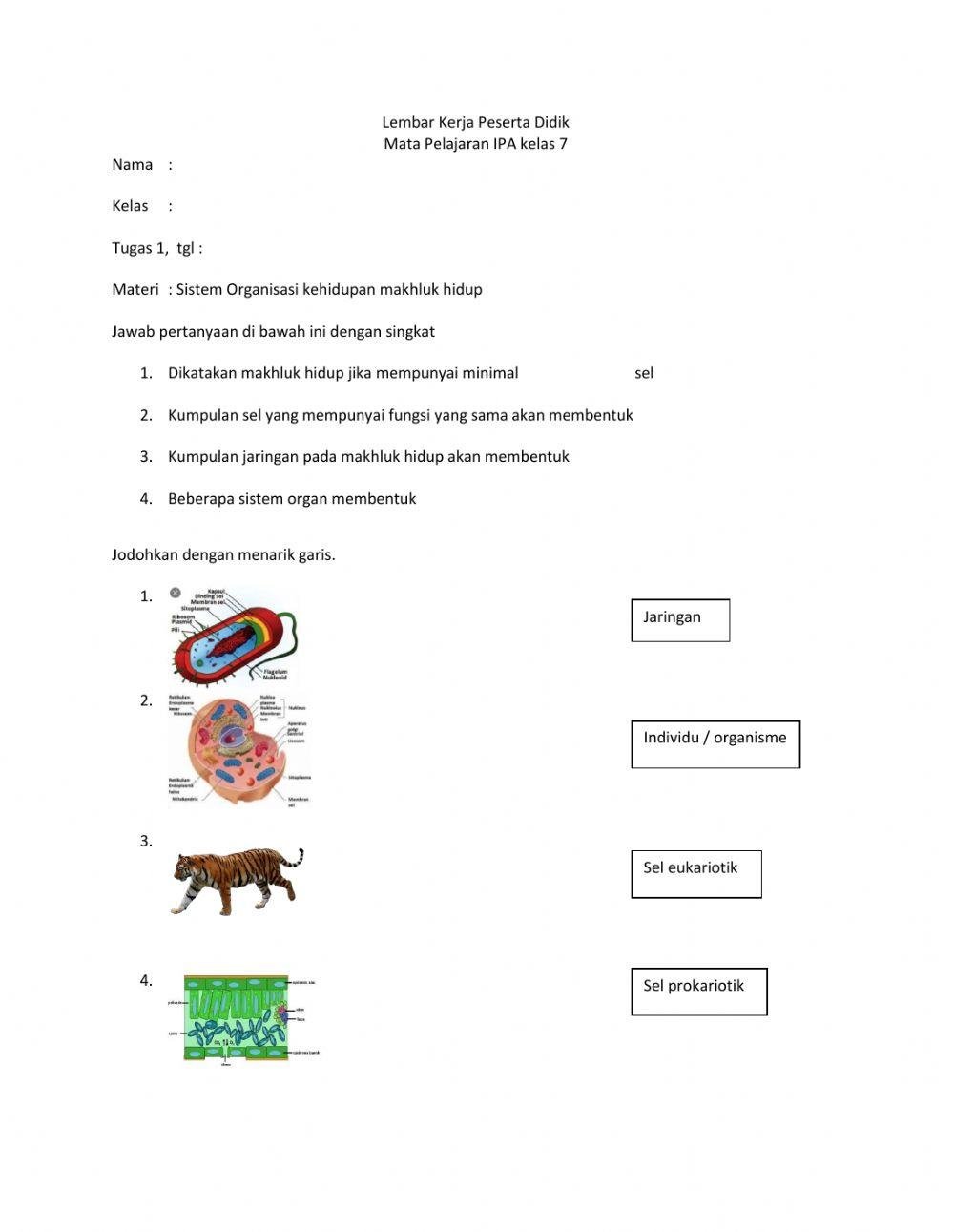 LKPD IPA kelas VII- Sistem organisme Kehidupan makhluk hidup