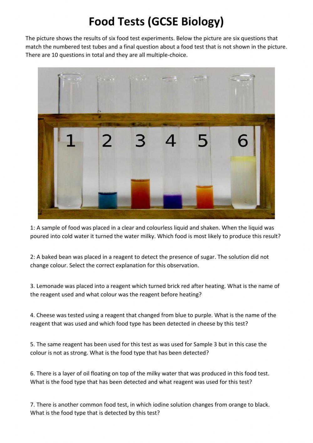 GCSE Food Tests