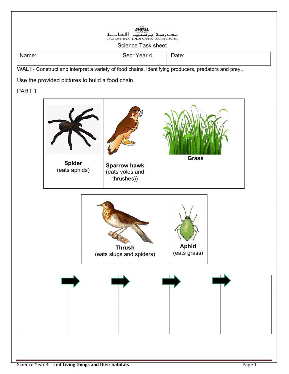 LouiseElaine03 Biology Diagrams