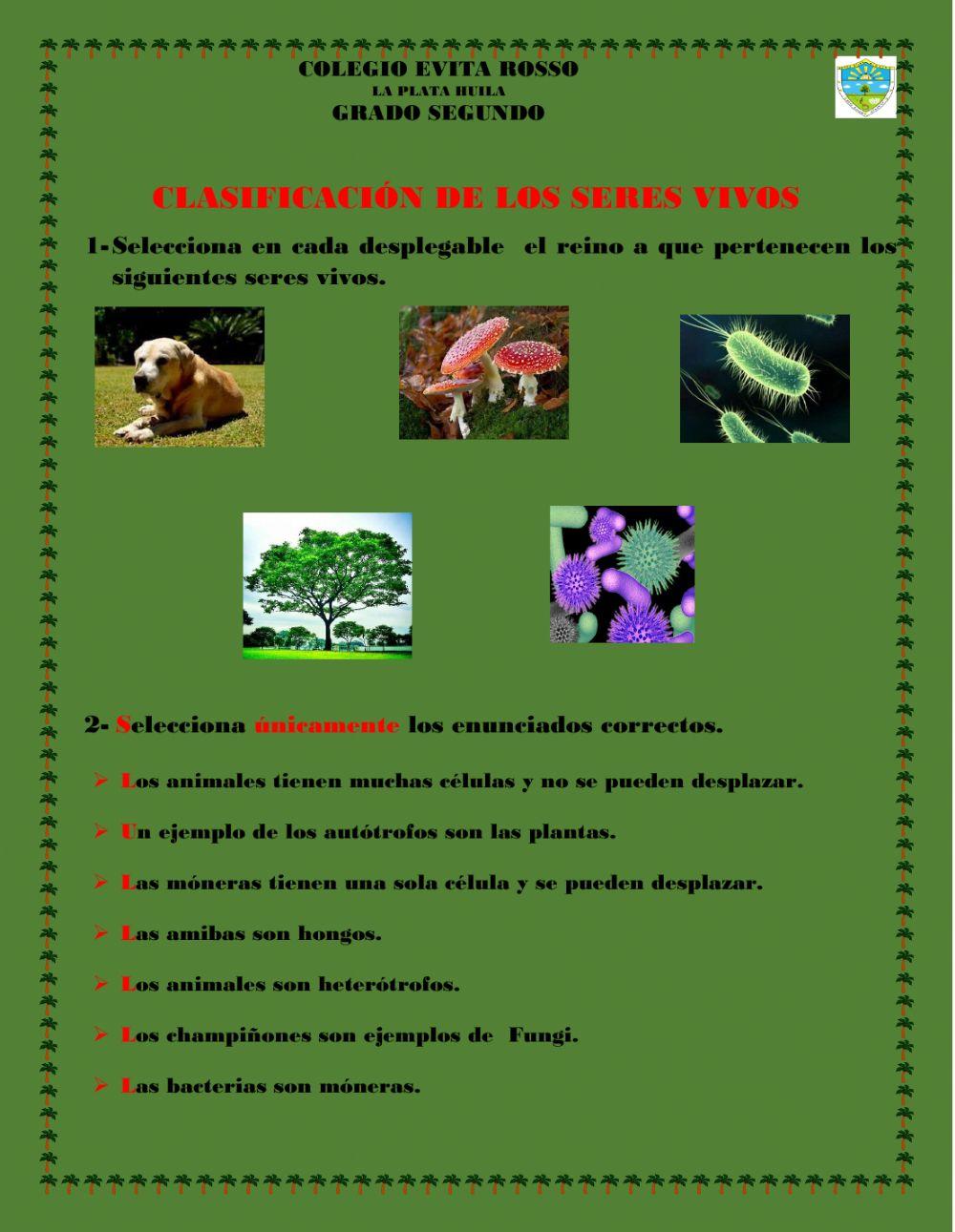 Clasificación de los seres vivos