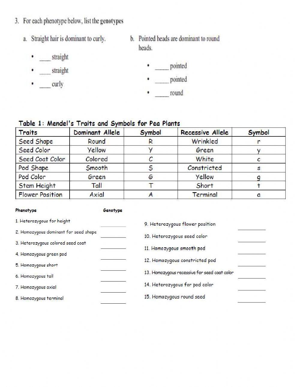 Genotype and Phenotype online exercise for Live Worksheets