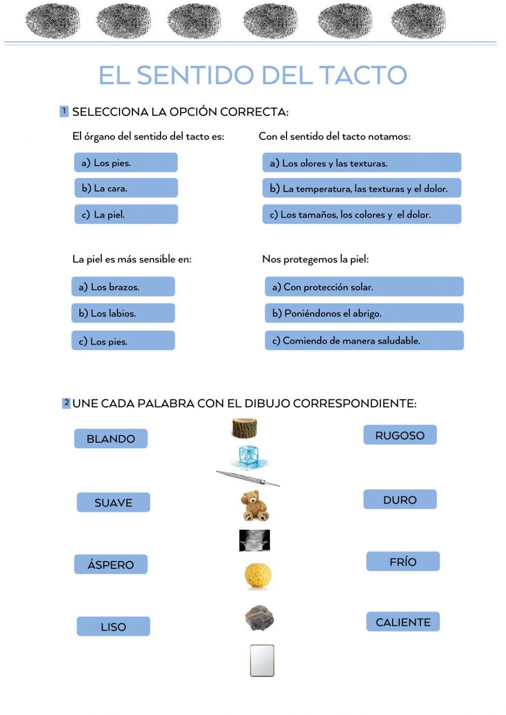 El sentido sel tacto