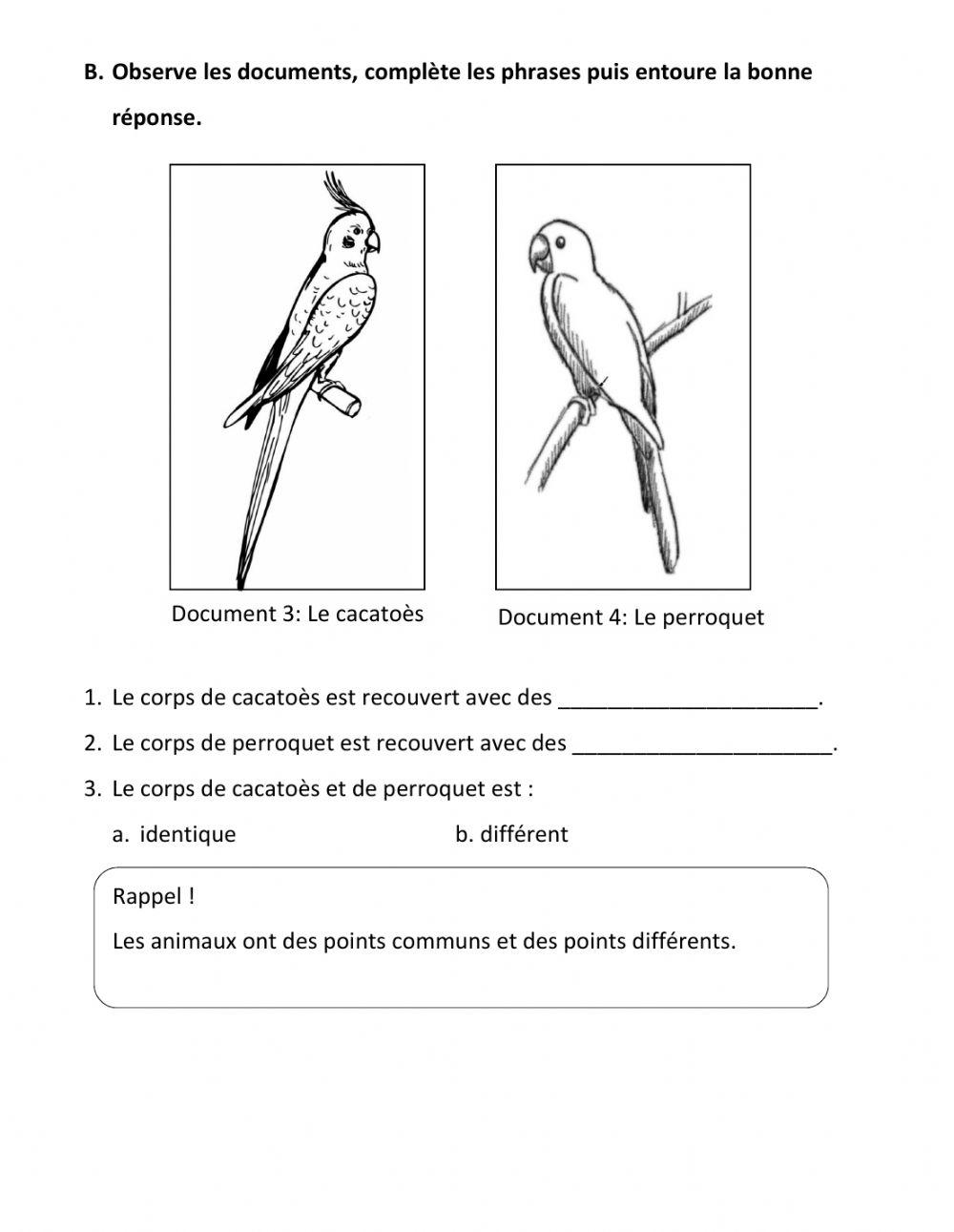 Le monde des animaux