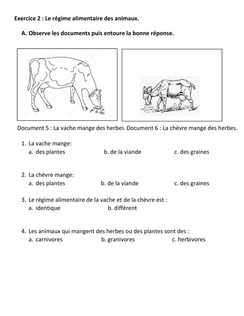 Le monde des animaux