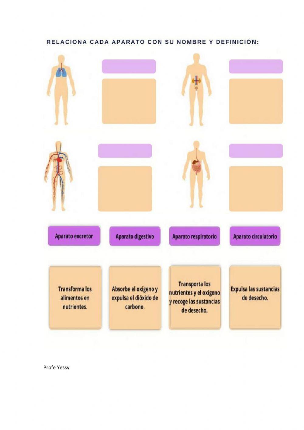Función de nutrición