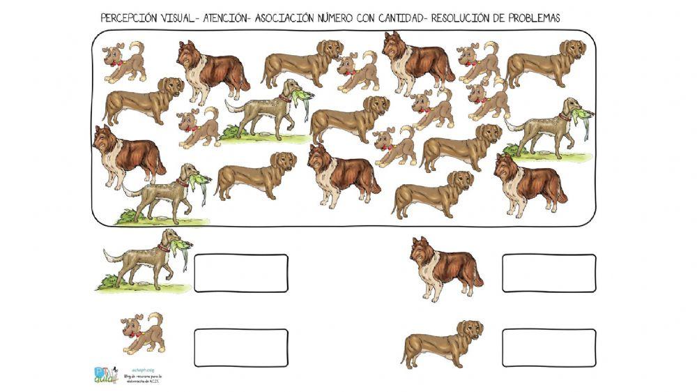 Asociacion, numero con cantidad