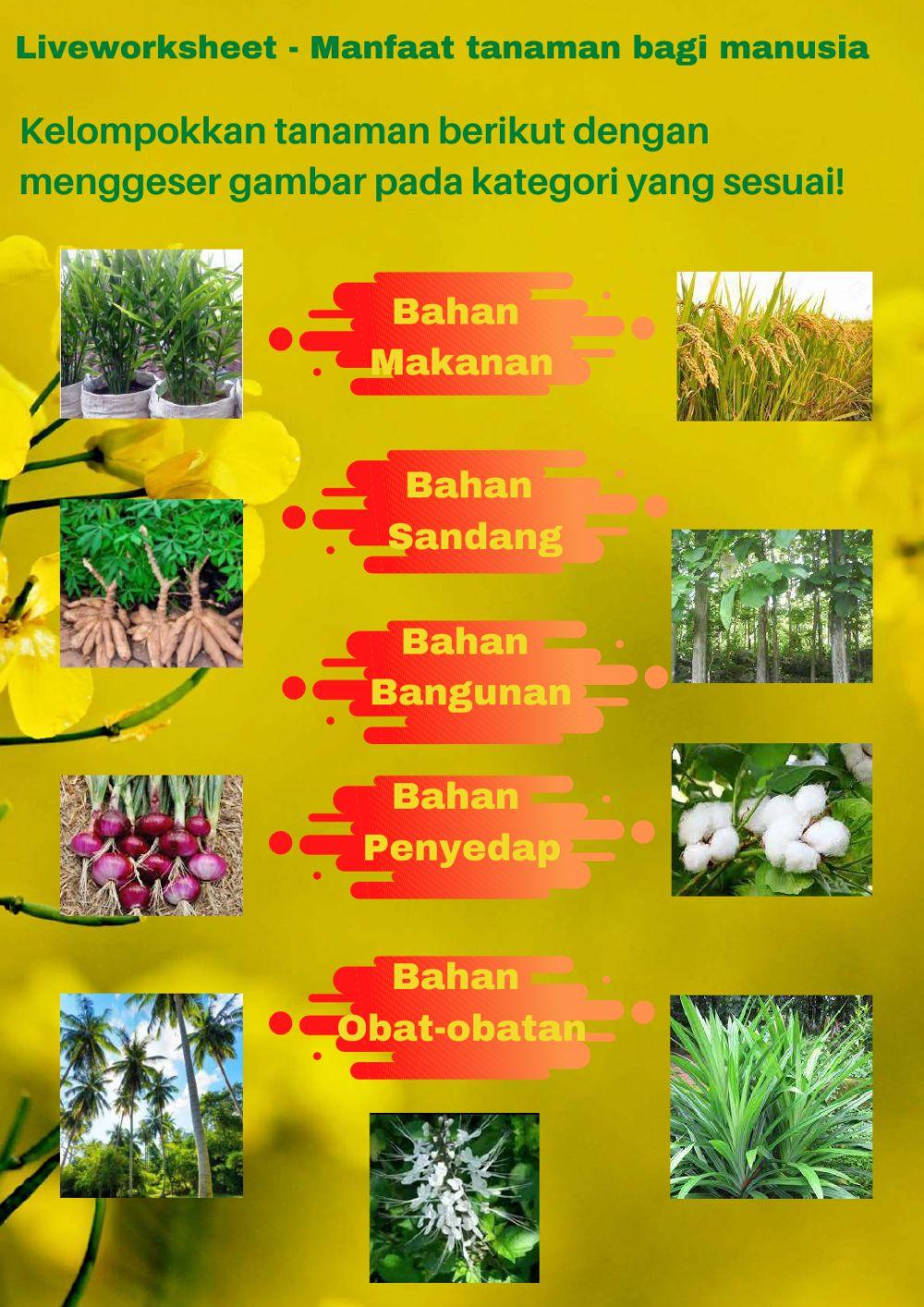 Manfaat Tanaman Bagi Manusia