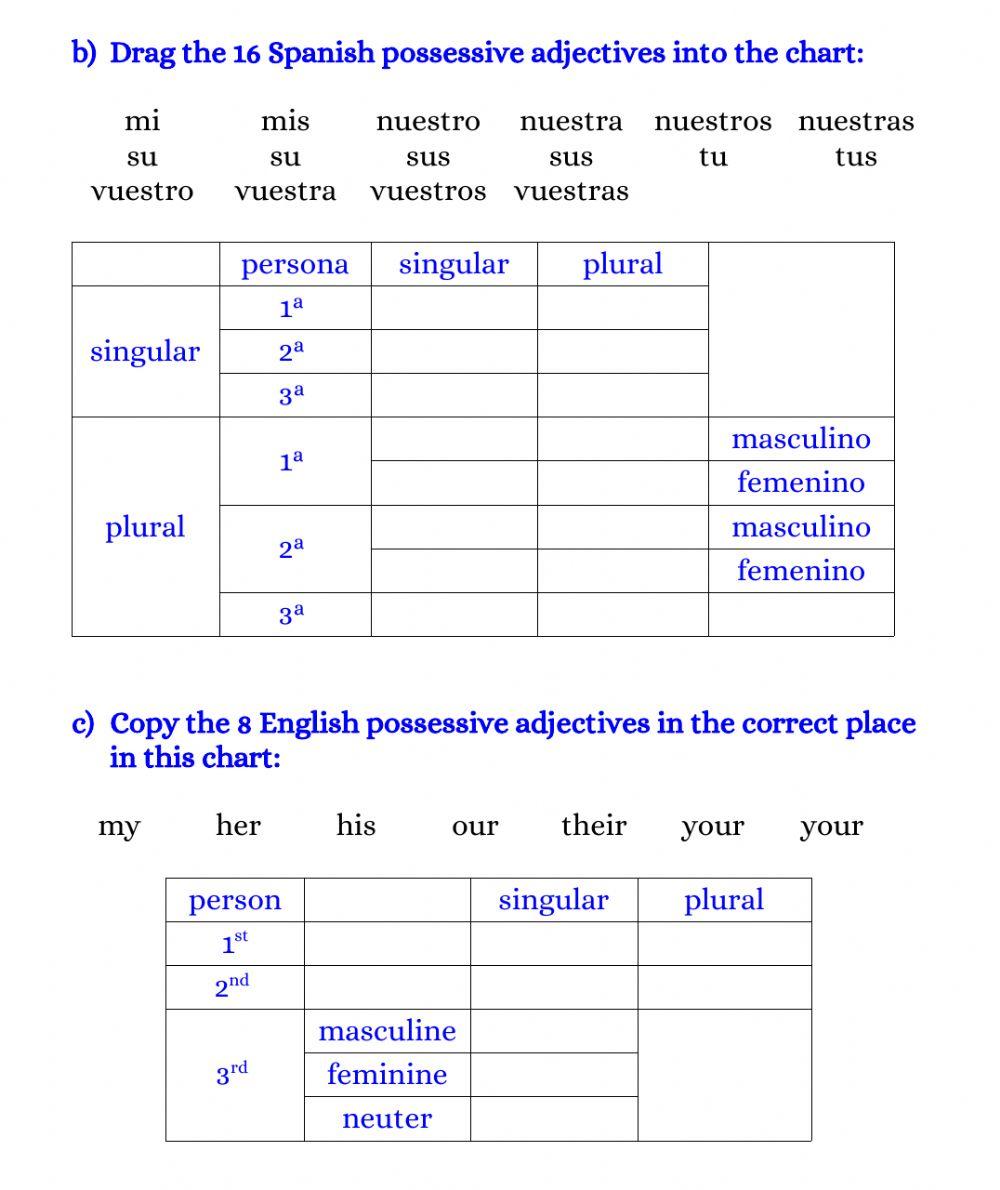 Possessive adjectives - revision