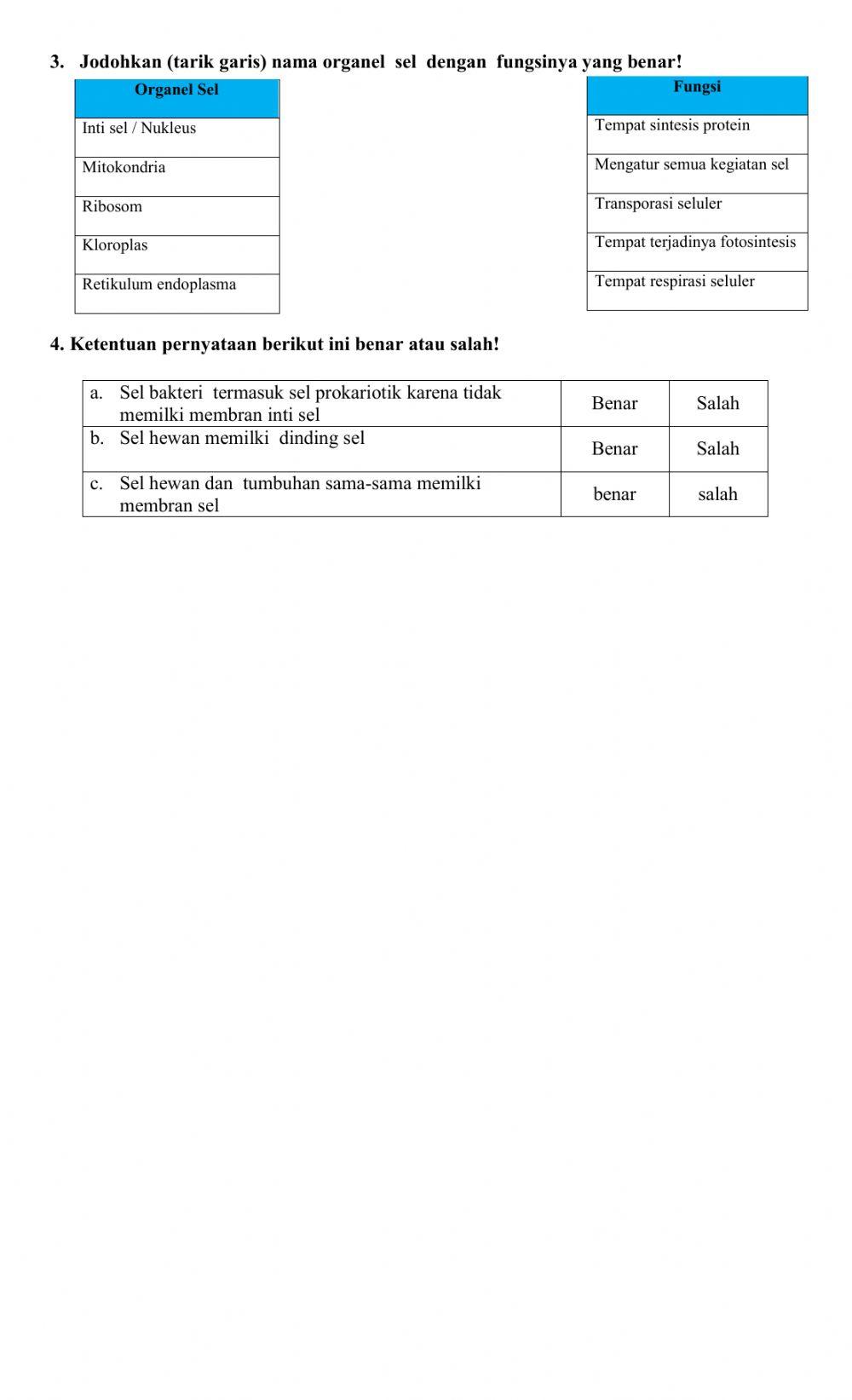 Lembar Kerja Peserta Didik Interaktif