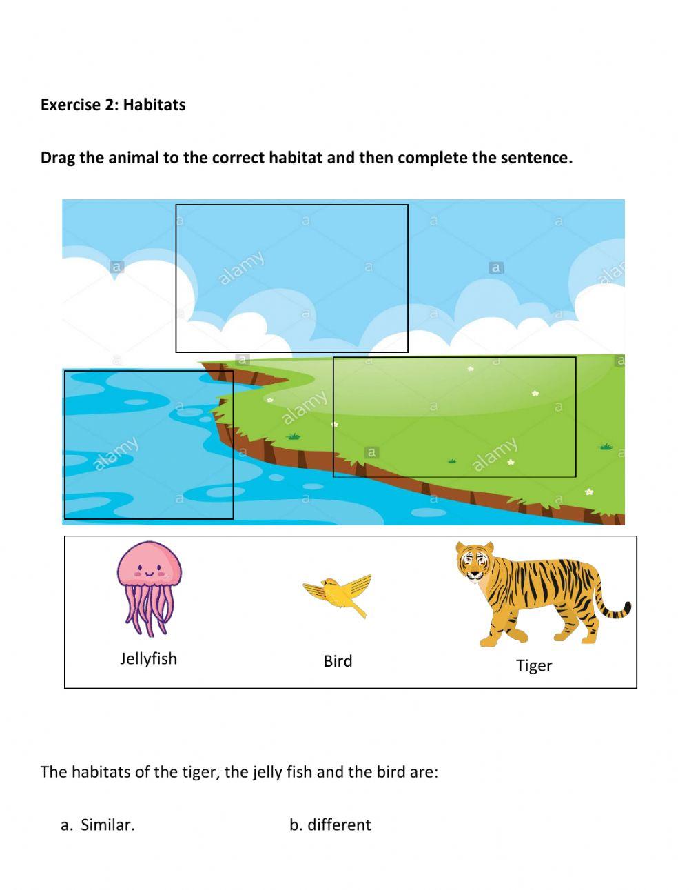 Quiz 2 G2 similarities and differences between animals