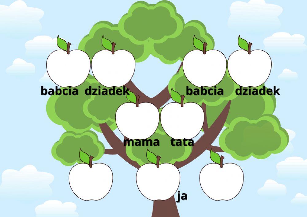 Drzewo genealogiczne. Pisanie