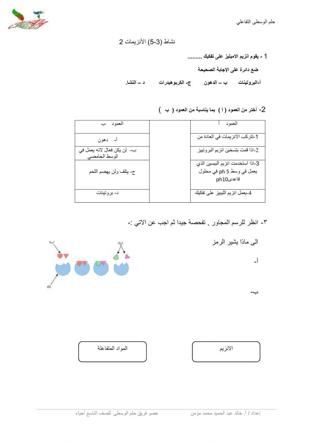 نشاط 3-5 حلم الوسطى- الانزيمات 2 نشاط 3-5 حلم الوسطى- الانزيمات 2