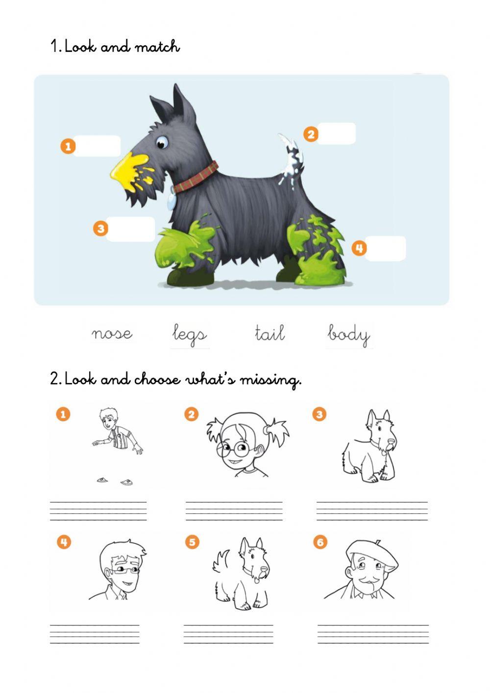 Animals: parts of the body