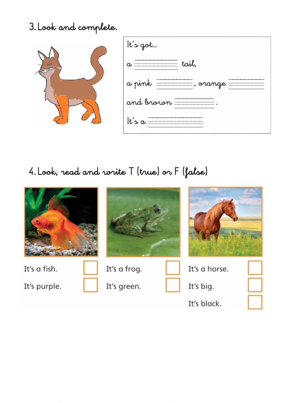 Animals: parts of the body