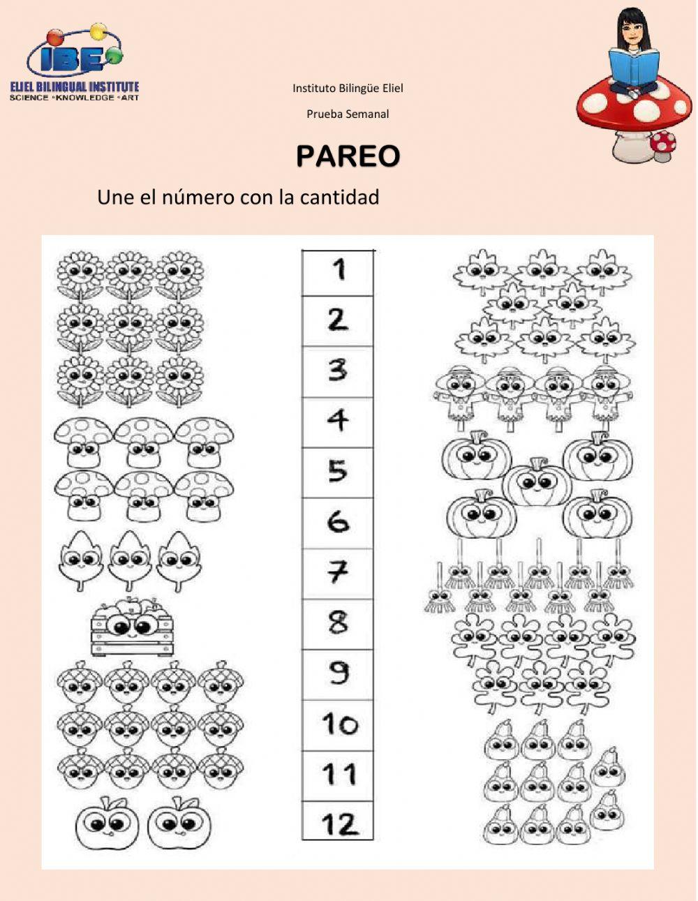 Conocimiento del medio