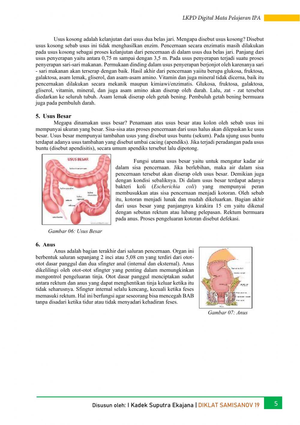 LKPD Digital Mata Pelajaran IPA