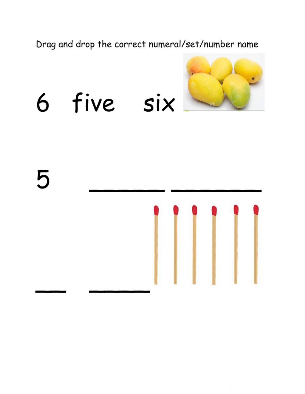 Numbers 5 and 6