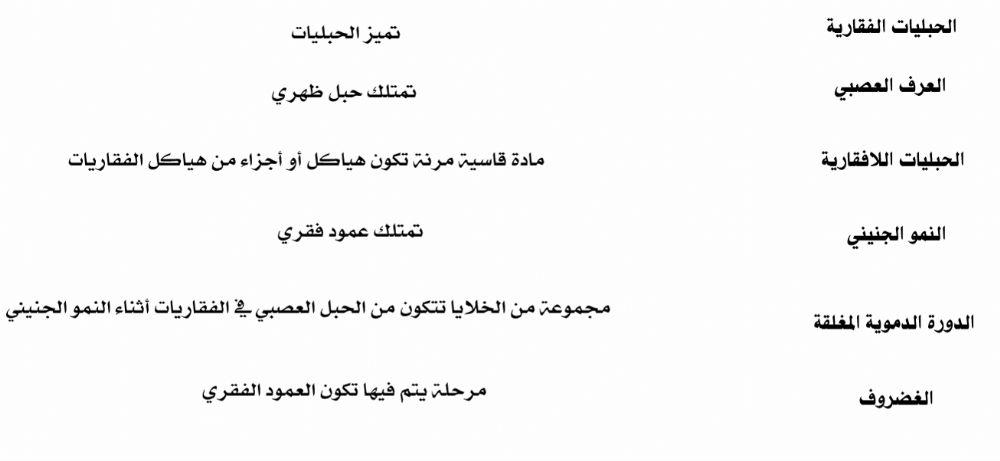 خصائص الفقاريات