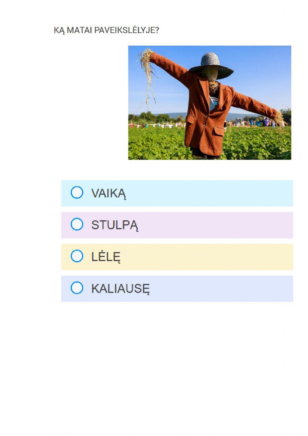 Vienaskaitos galininkas