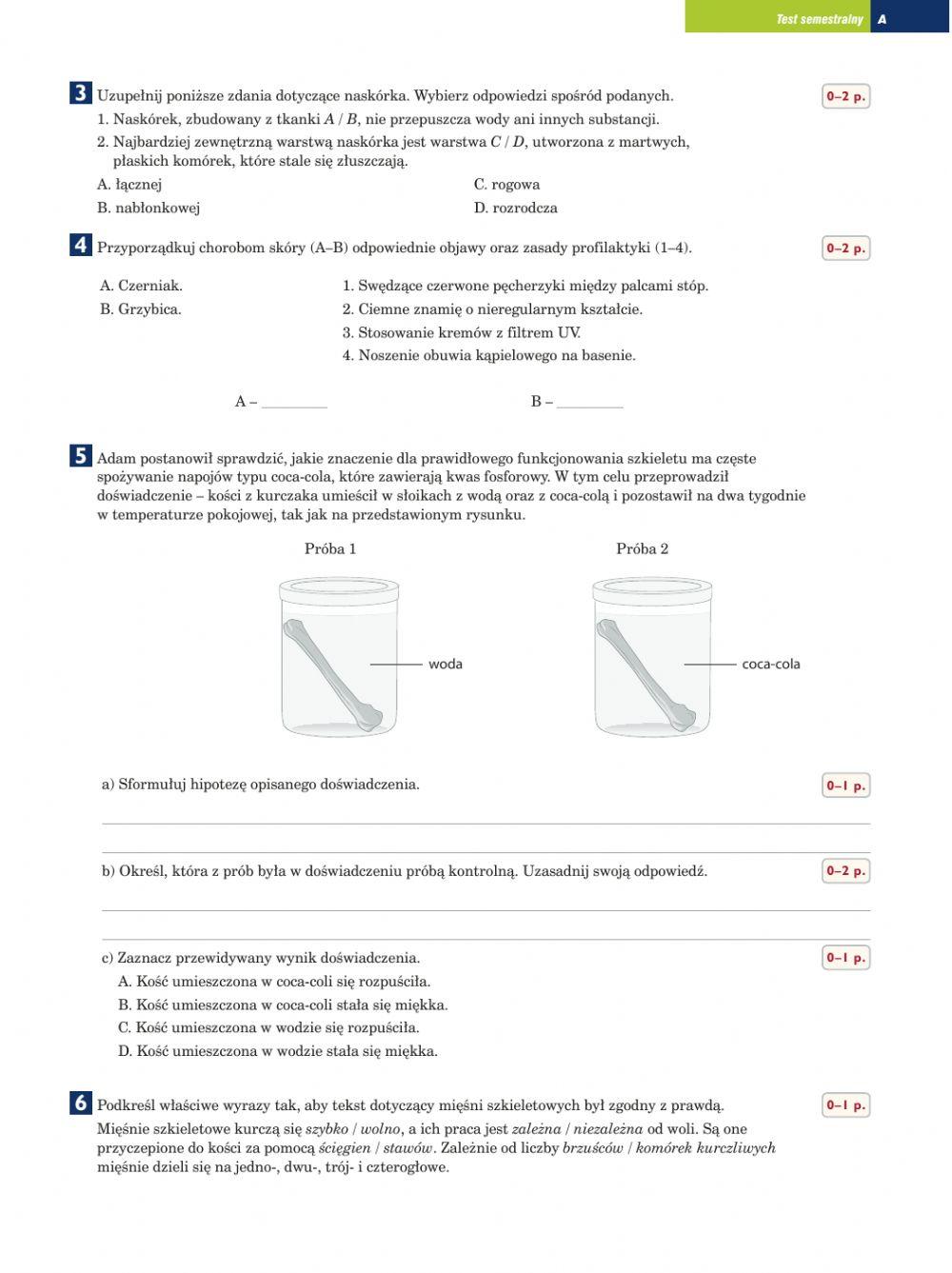 Sprawdzian 1. półrocze biologia
