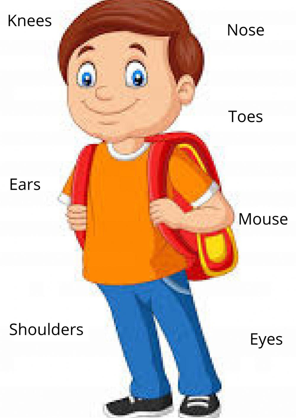 English body parts for kids