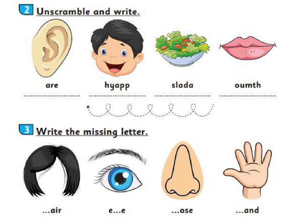 Revision unit 2 connect