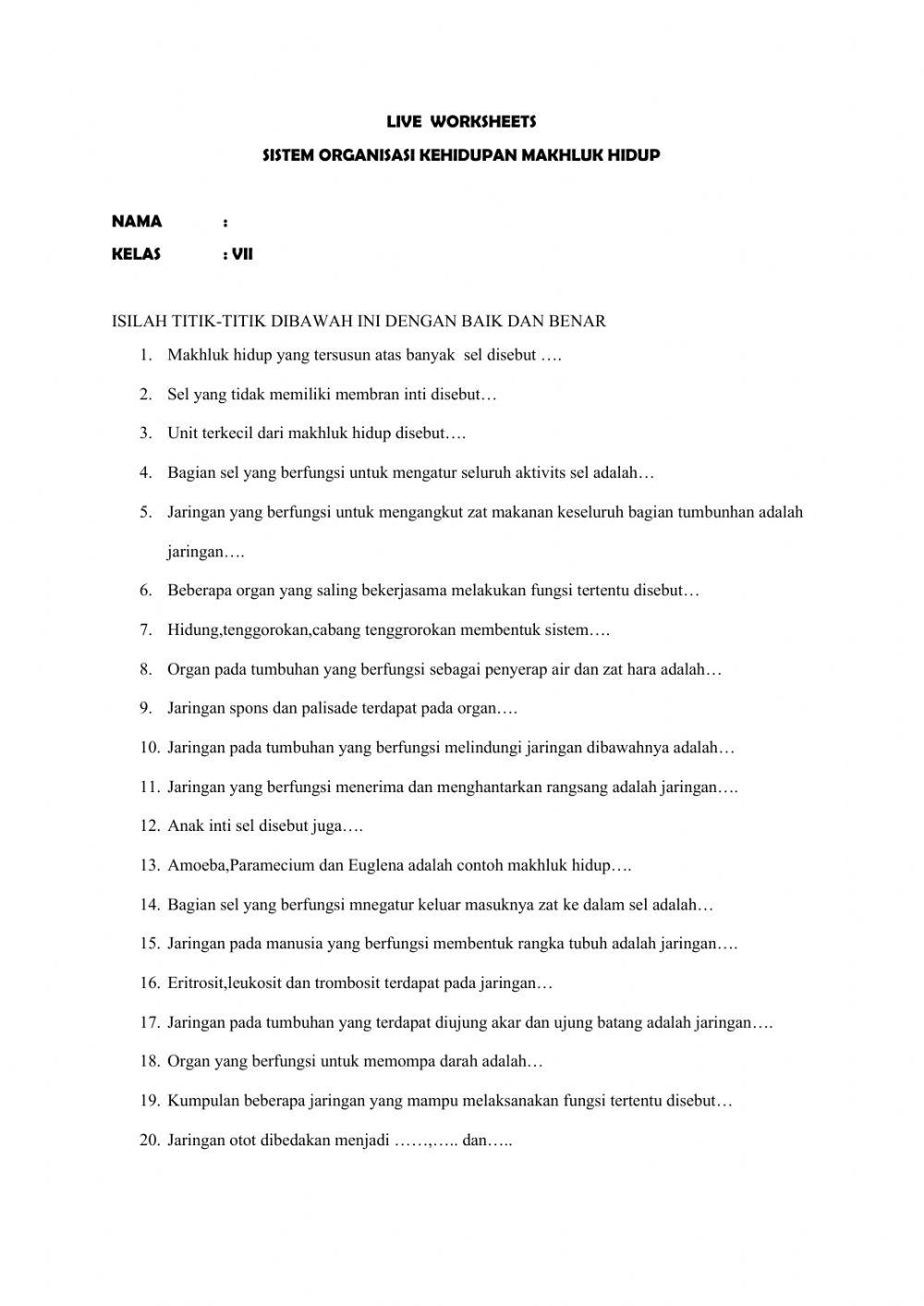 Sistem organisasi kehidupan