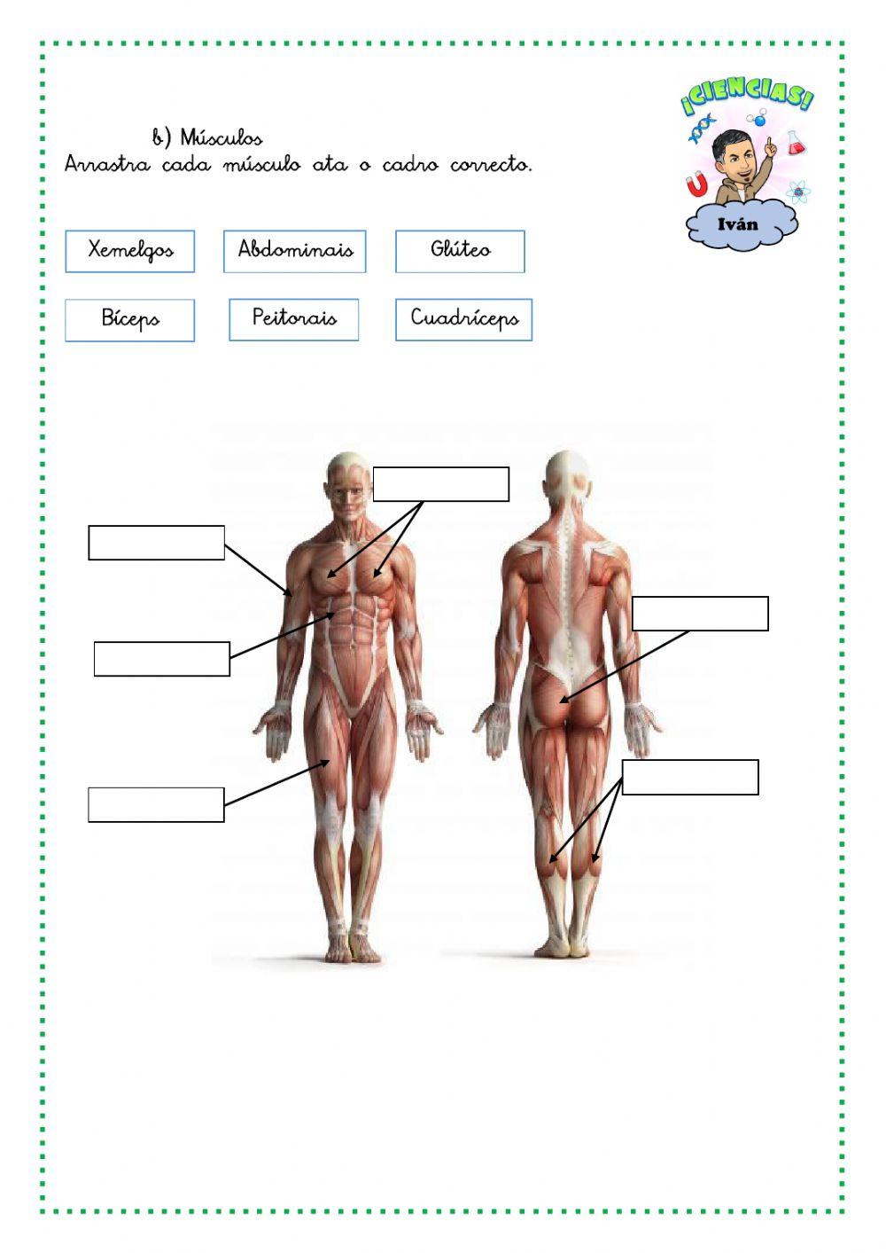 Función de relación dos seres humanos