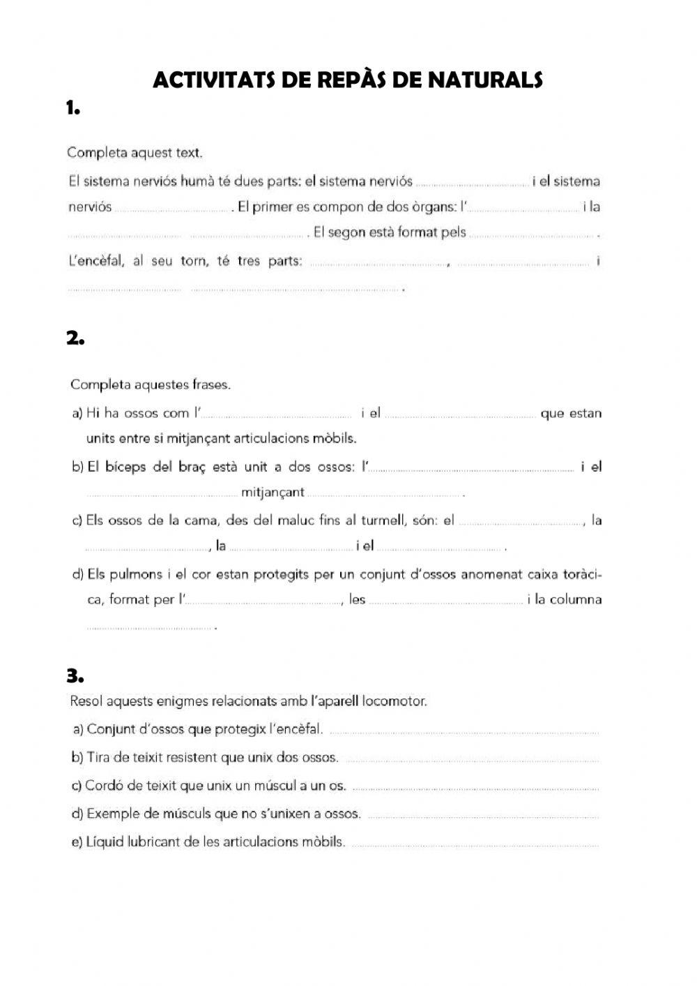 Activitats de reforç sistema nerviós i aparell locomotor