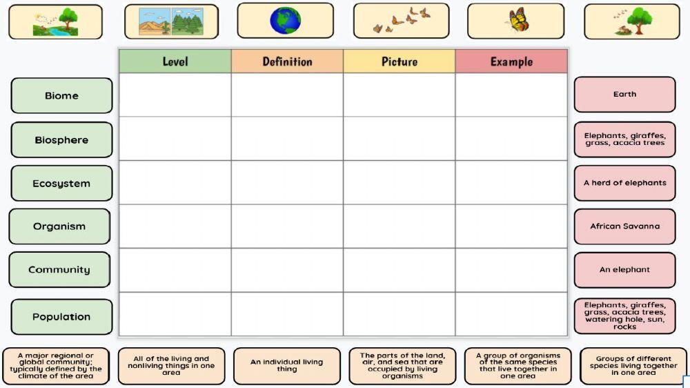 Levels of Ecological Organization Matching 4618119