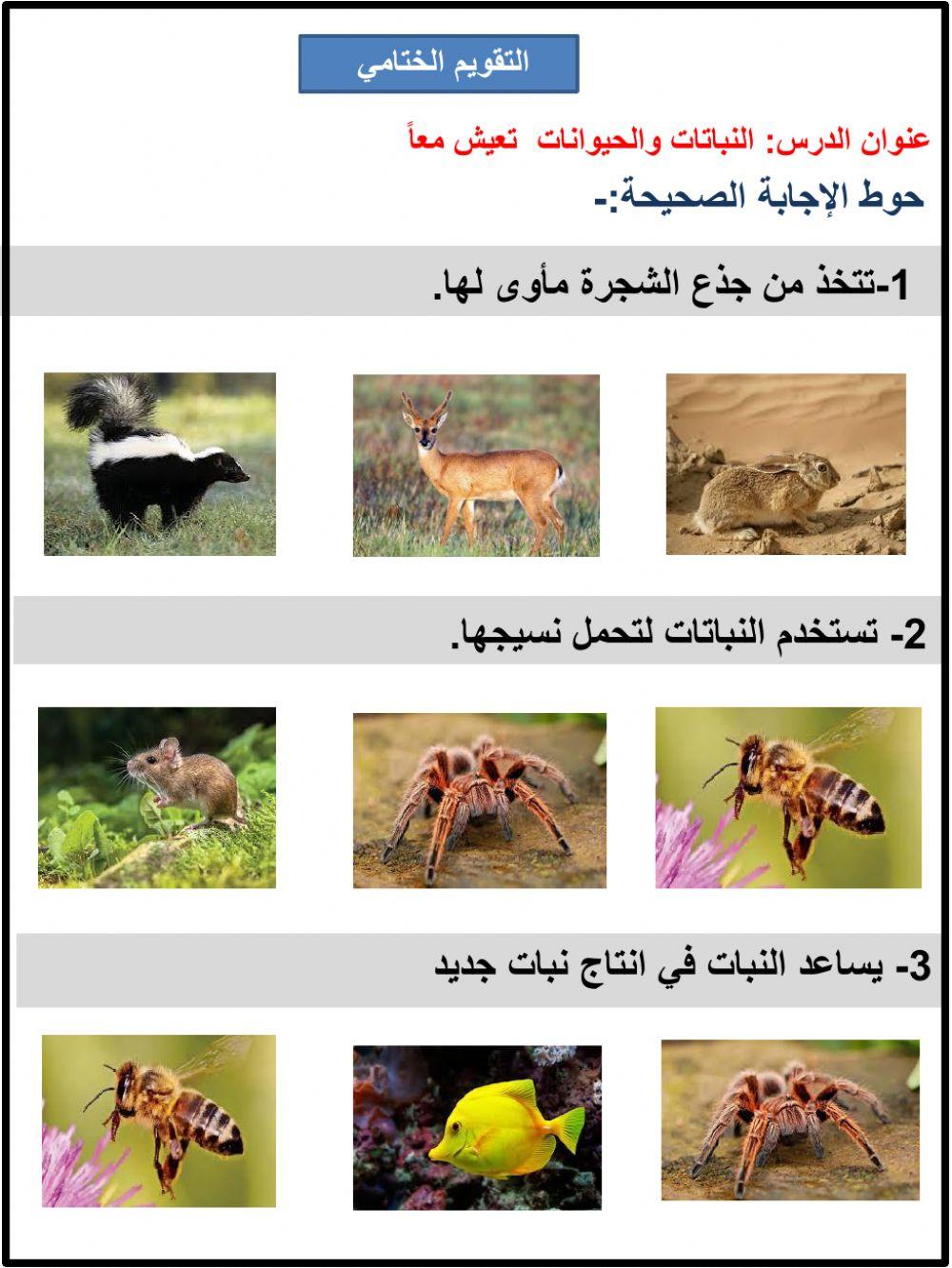 النباتات والحيوانات تعيش معا