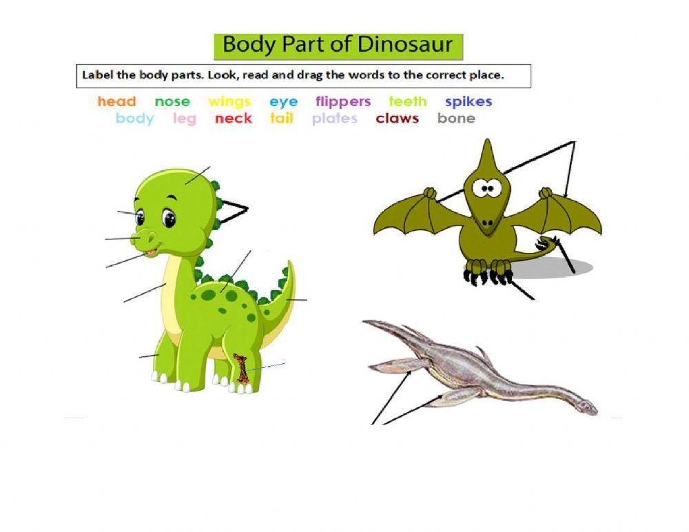 Dinosaurs body parts for kids