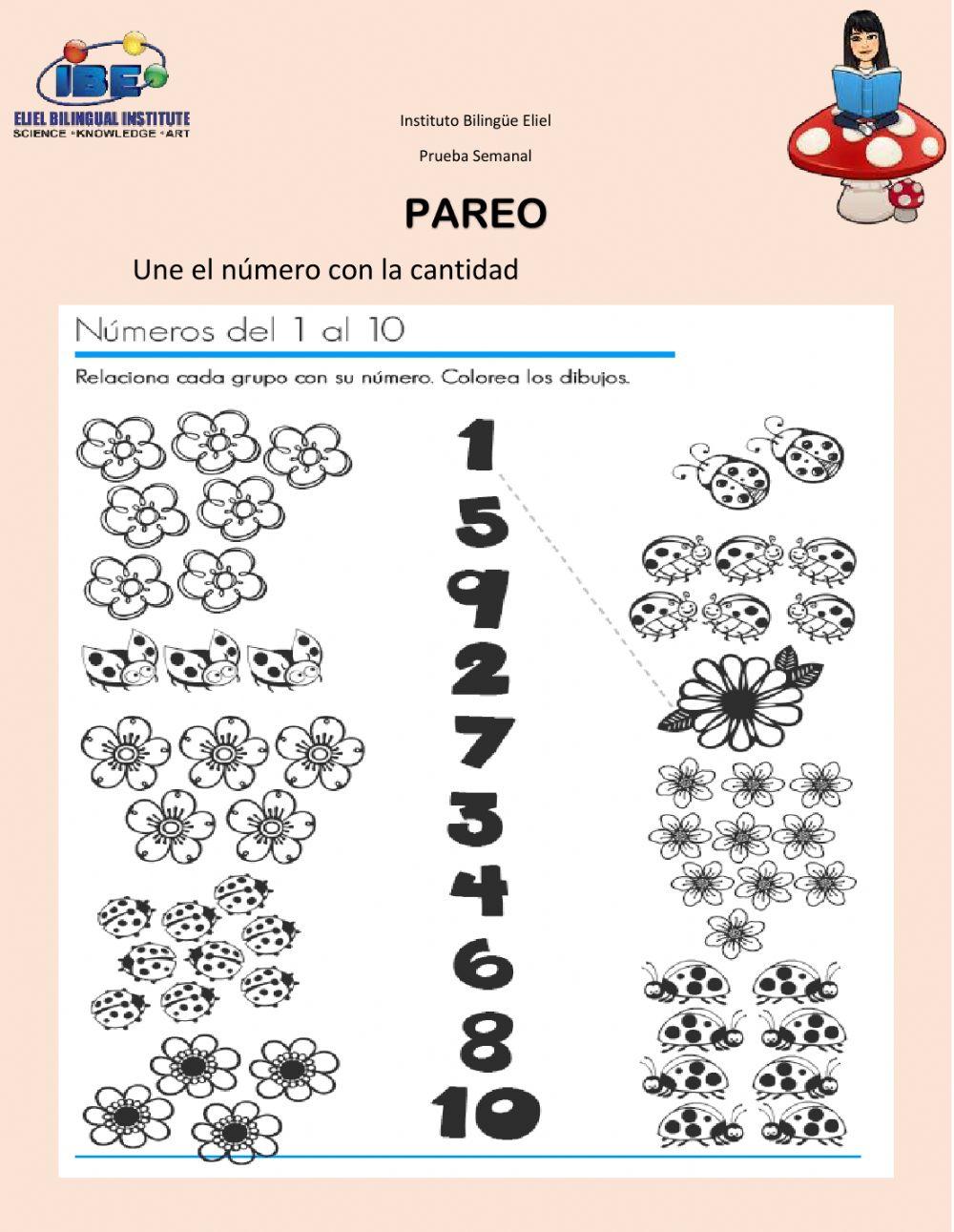 Conocimiento del medio