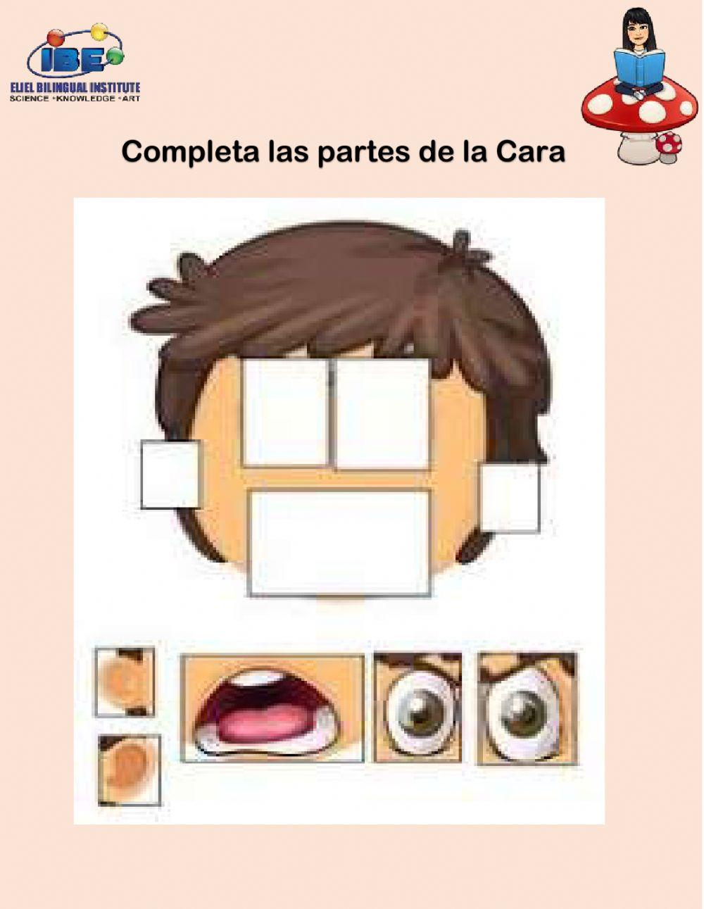 Conocimiento del medio