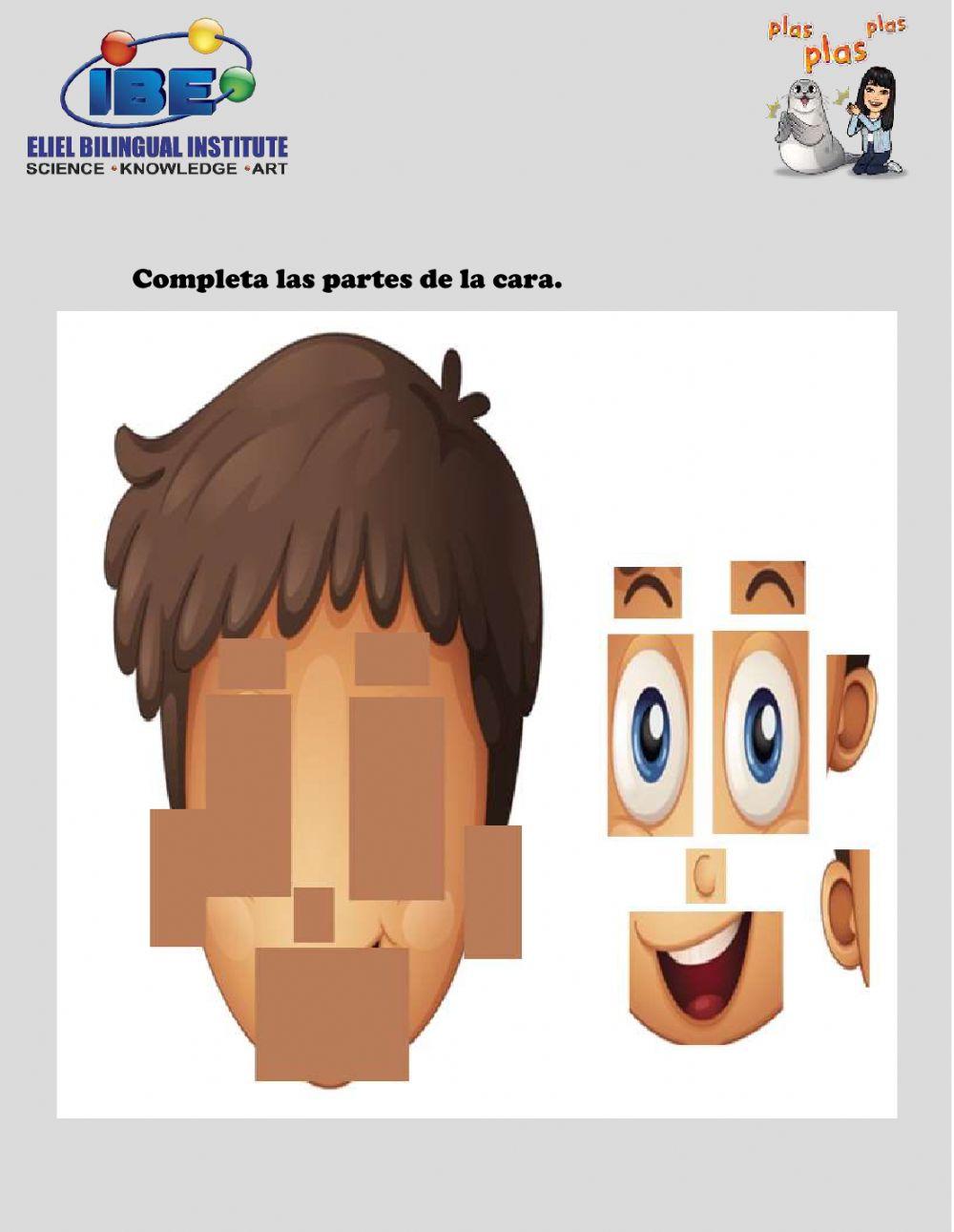 Conocimiento del medio