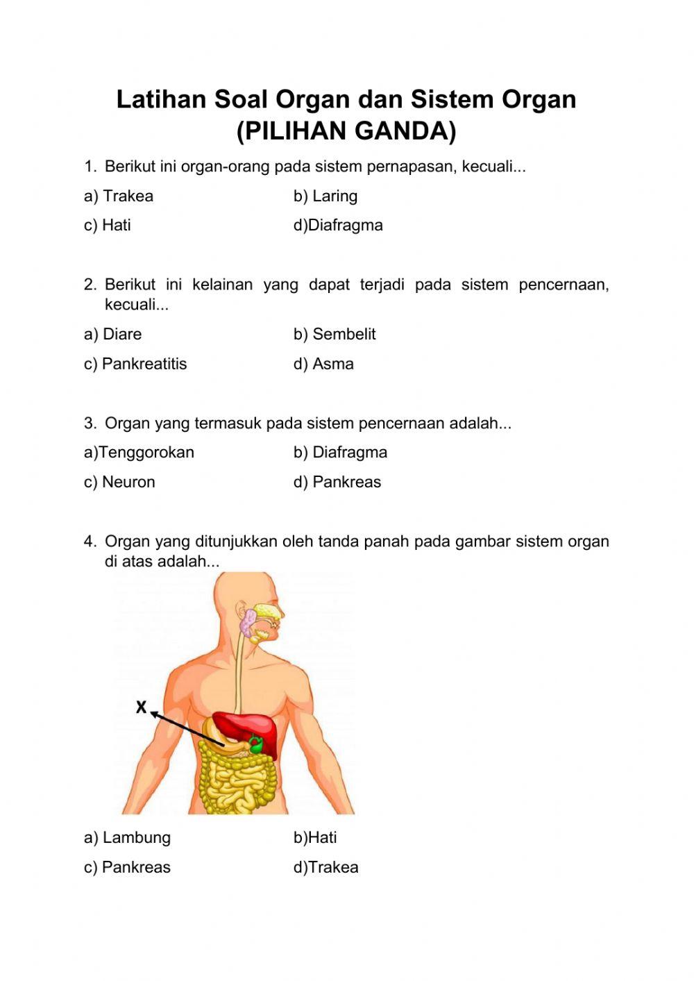 Latihan 4 soal PG organ dan sistem organ