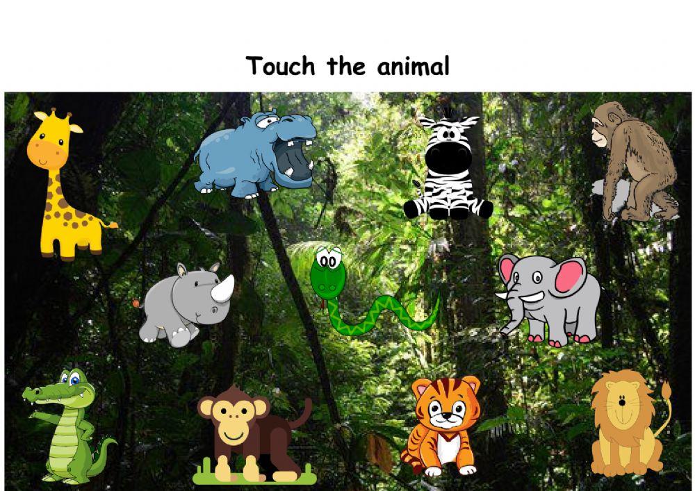 How To Get Free Points On Wild Animals Online Wild animals online exercise for pre-primary | Live Worksheets