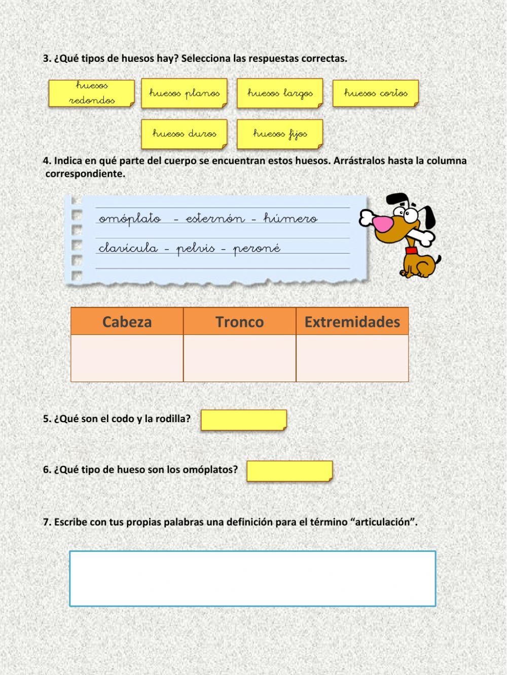 El aparato locomotor: El sistema óseo
