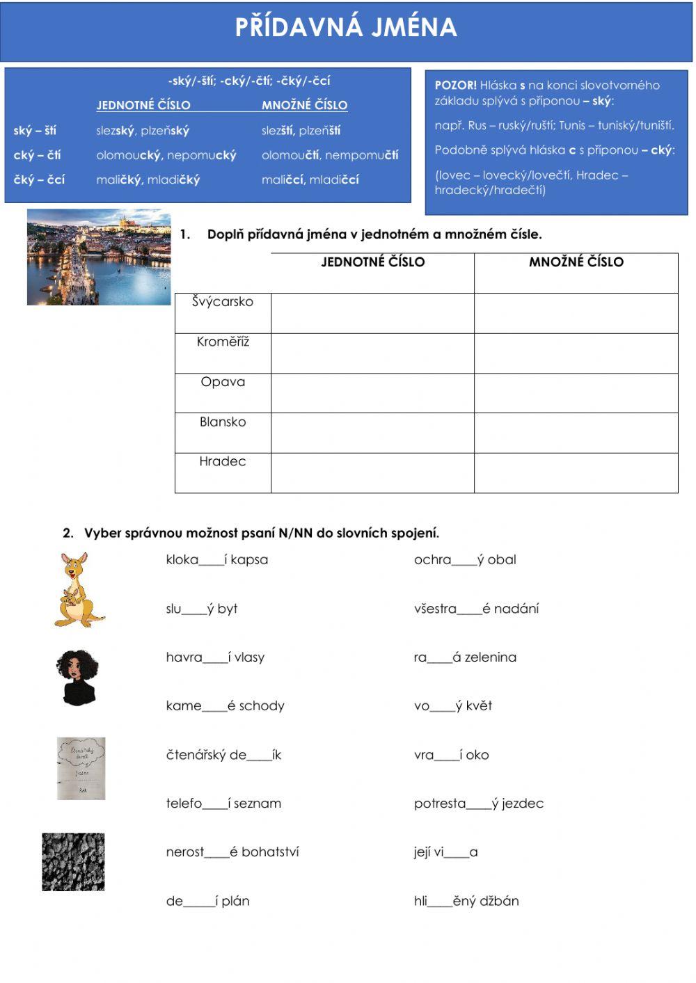 Přídavná jména n-nn, ský-ští, pravopis koncovek