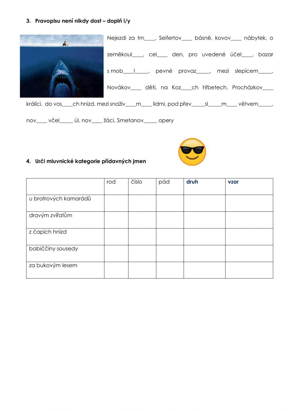 Přídavná jména n-nn, ský-ští, pravopis koncovek