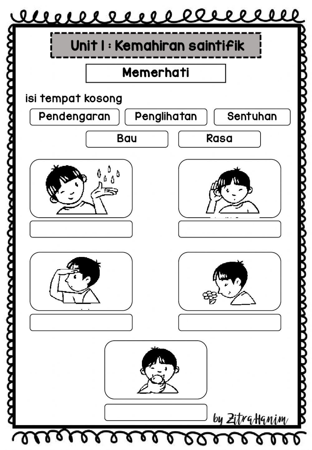 Sains tahun 2 memerhati