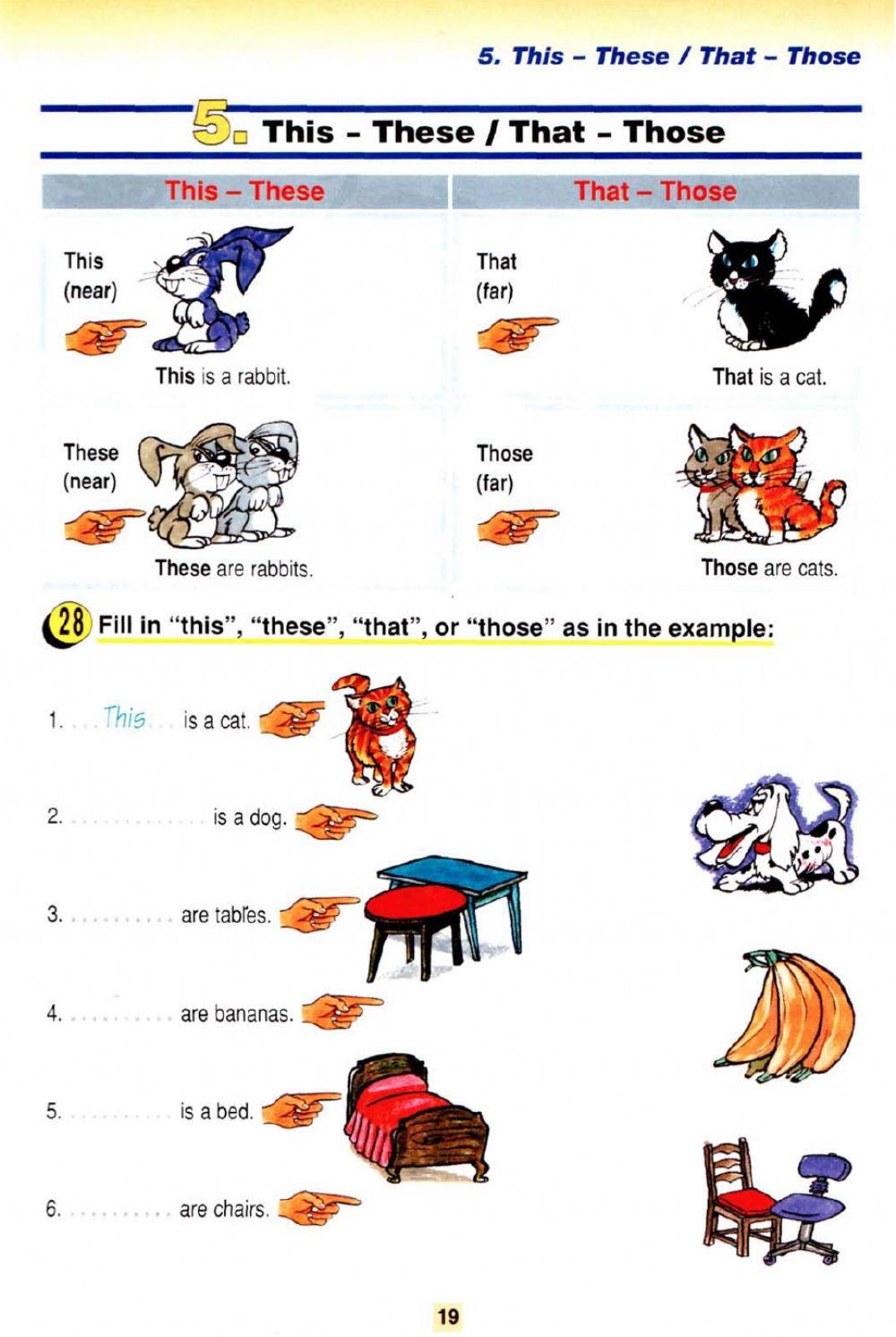 This These That Those