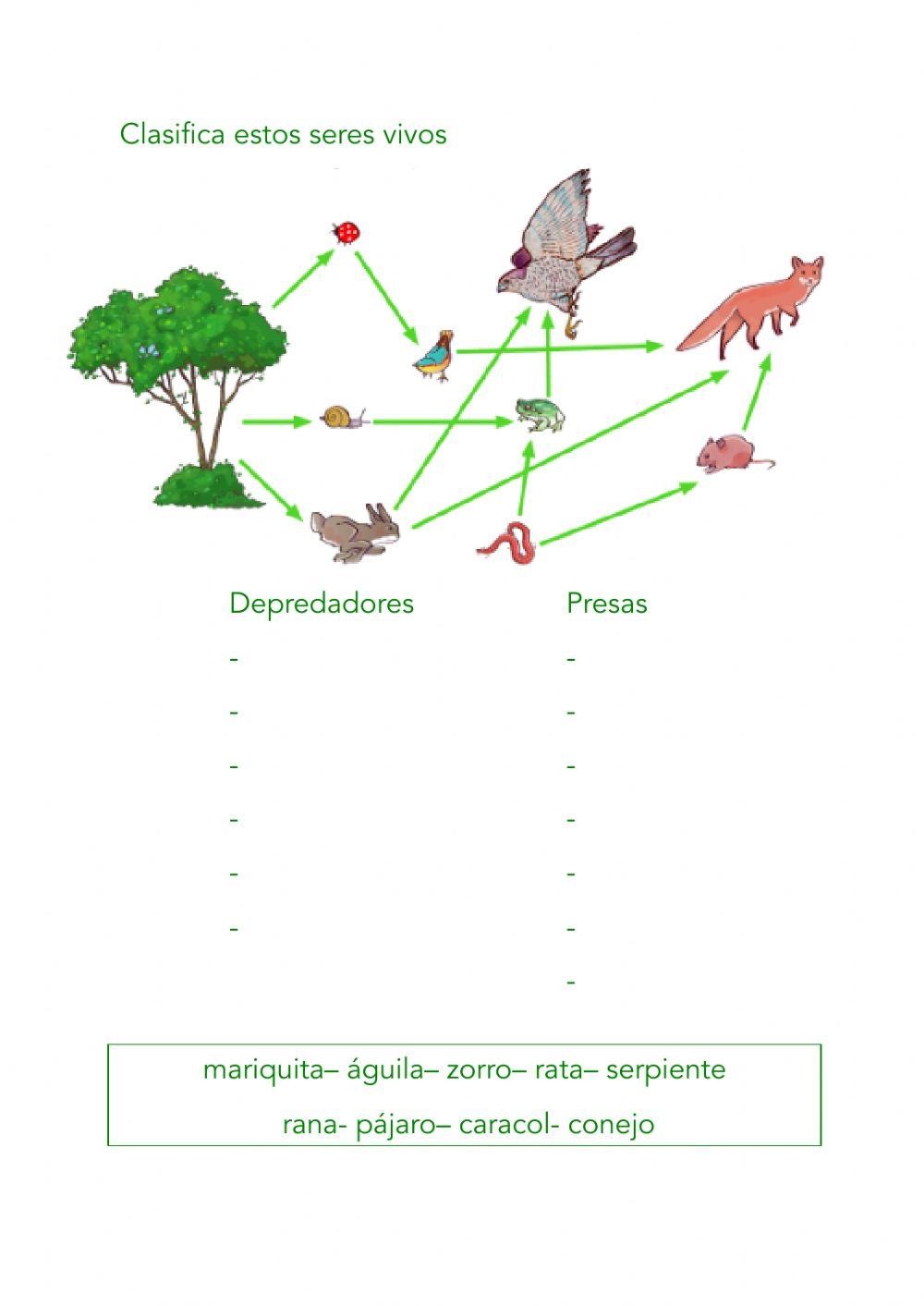 Depredadores y presas